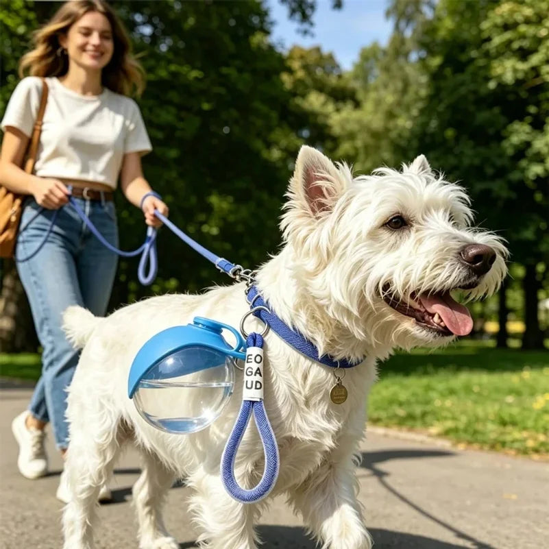 Gourde Balade 2-en-1 bleue accrochée à la laisse en promenade